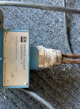 恩德斯豪斯EH音叉液位计开关FTL360RGR2A2K议价