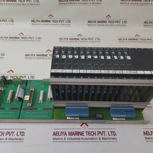 STAHL 986405001201 ICS 1000 Chassis de Module dEntre Analogi