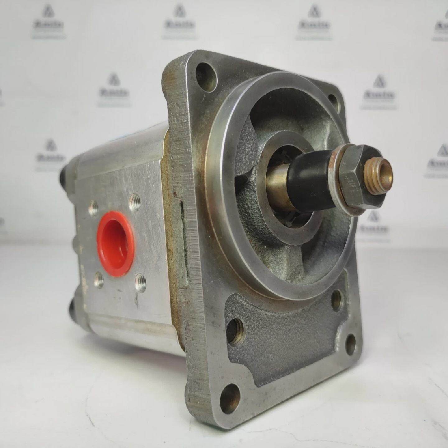 Denison Hydraulics GP2G 12 5R00 B100 Hidrulico Equipo Bomba - 实物图