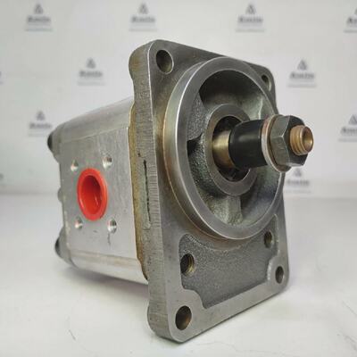 Denison Hydraulics GP2G 12 5R00 B100 Idraulico Cambio Pompa