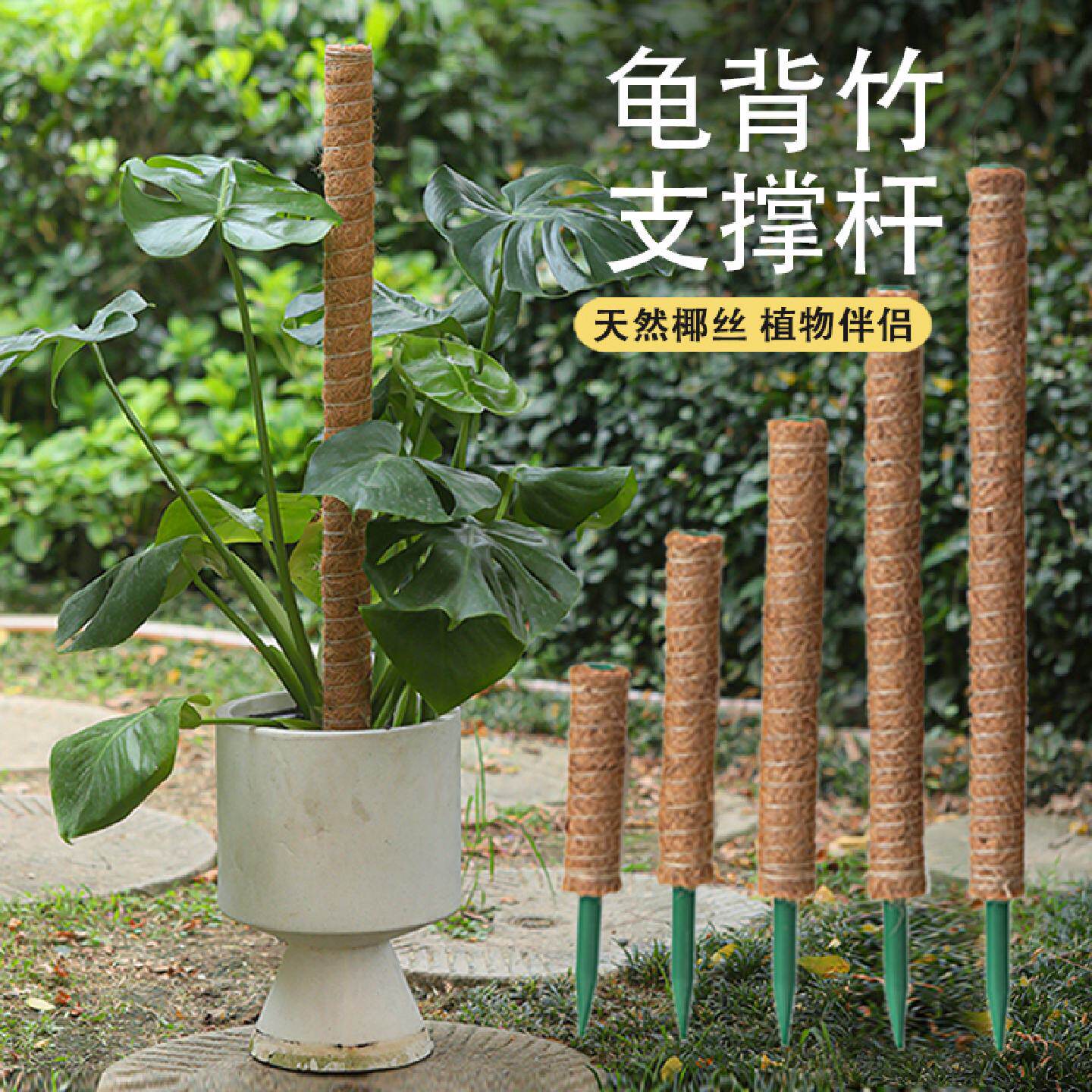 PVC可拼接植物支撑杆龟背竹绿萝攀爬支架棕榈柱椰丝棒花架
