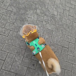 柴犬狗狗防误食头纱宠物头套中小型犬外出遛狗透气网套养宠人好物