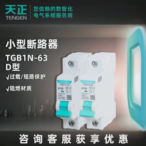 天正电气空气开关TGB1N-63 D型 家用63A工业断路器 小型过载保护