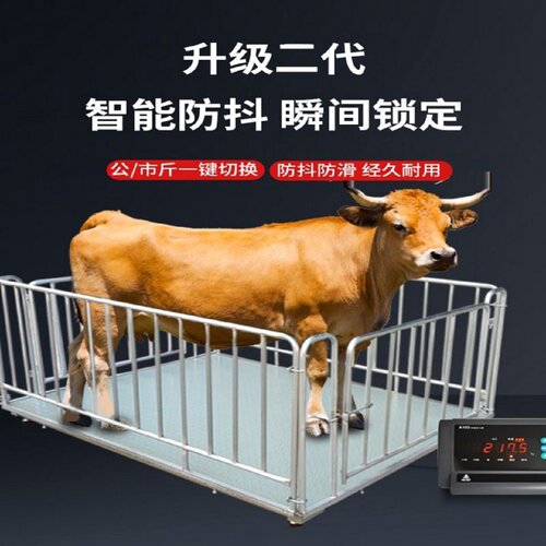 电子地磅称13吨工业物流高精度加厚小型平台秤5吨吨包秤