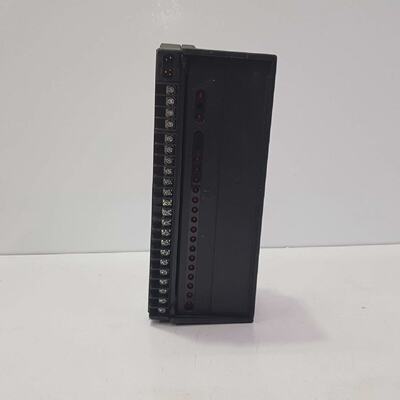 GE FANUC IC660TSD021L SINK ELECTRIC TERMINAL MODULE IC660EBD