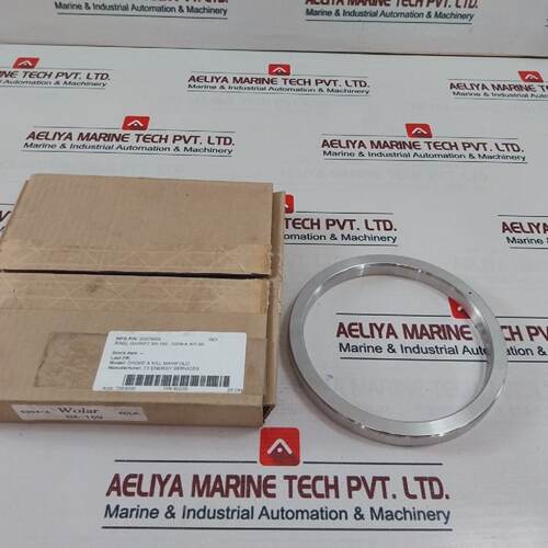 Anillo De Junta Wolar BX169 S304A API 6A 20378554