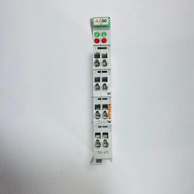 Wago 750473 2 Channel Analog Input