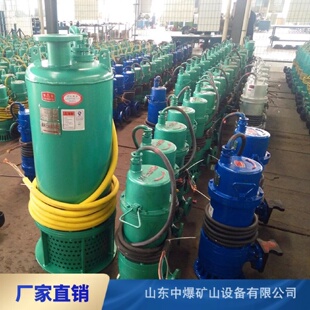 防爆潜水泵BQS100 18.5千瓦380v660v1140矿用隔爆型污水电泵