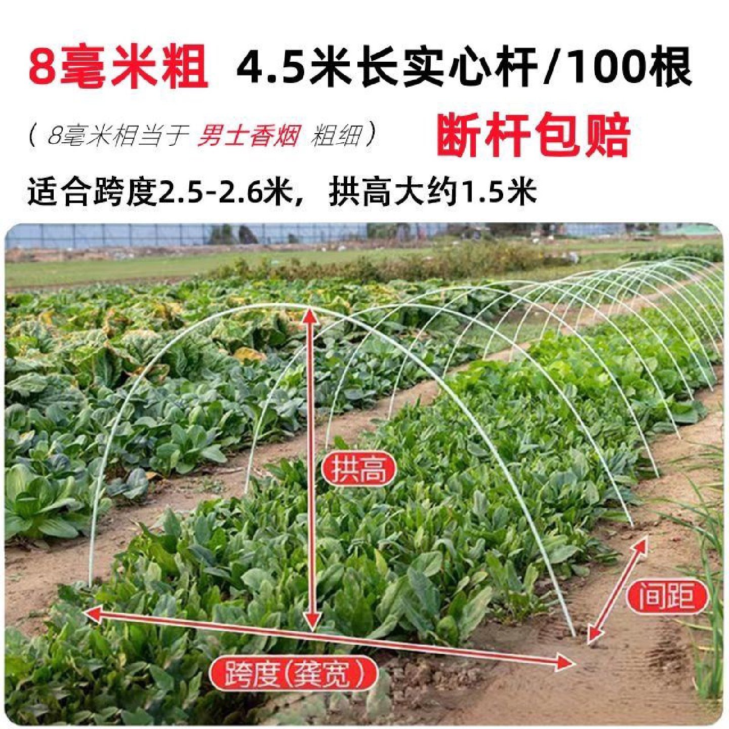 玻璃钢纤维杆拱杆小拱棚支架蔬菜大棚骨架保温棚爬藤架菜地秧苗架,鲜花速递/花卉仿真/绿植园艺,其它园艺用品,淘宝优惠券,粉丝福利购,淘宝优惠卷