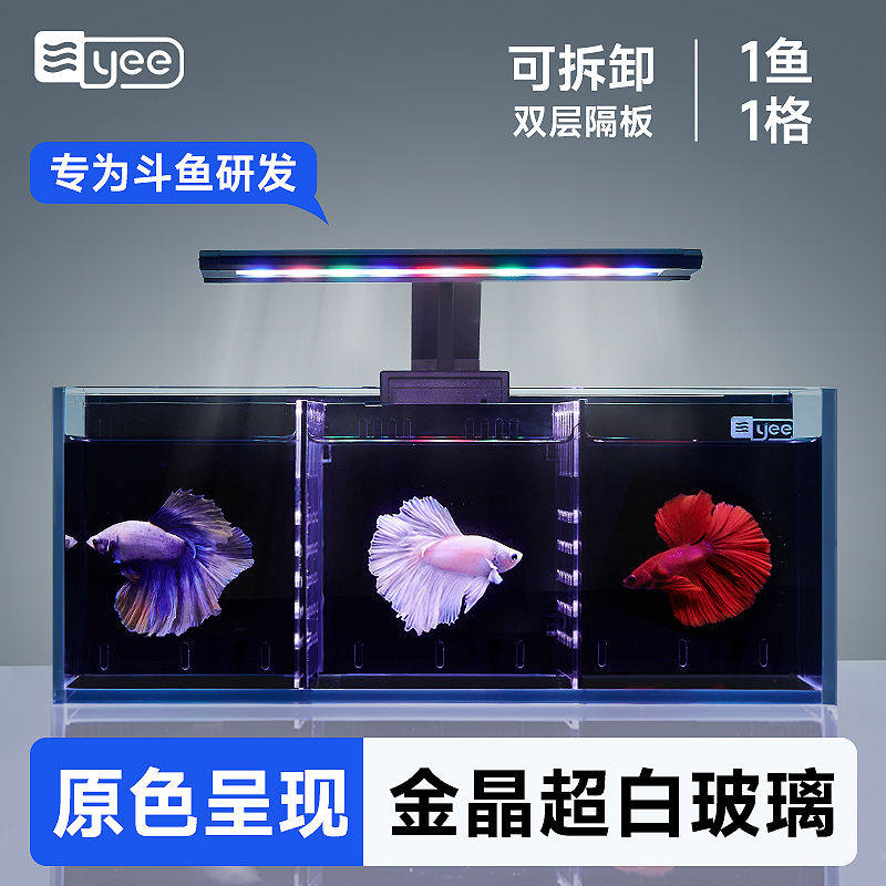 yee超白斗鱼缸玻璃背滤多格隔离带过滤客厅小型生态泰国斗鱼