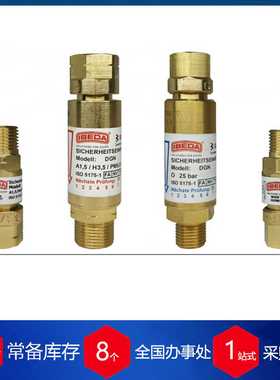 c供应德国IBEDA阻火器DS1000