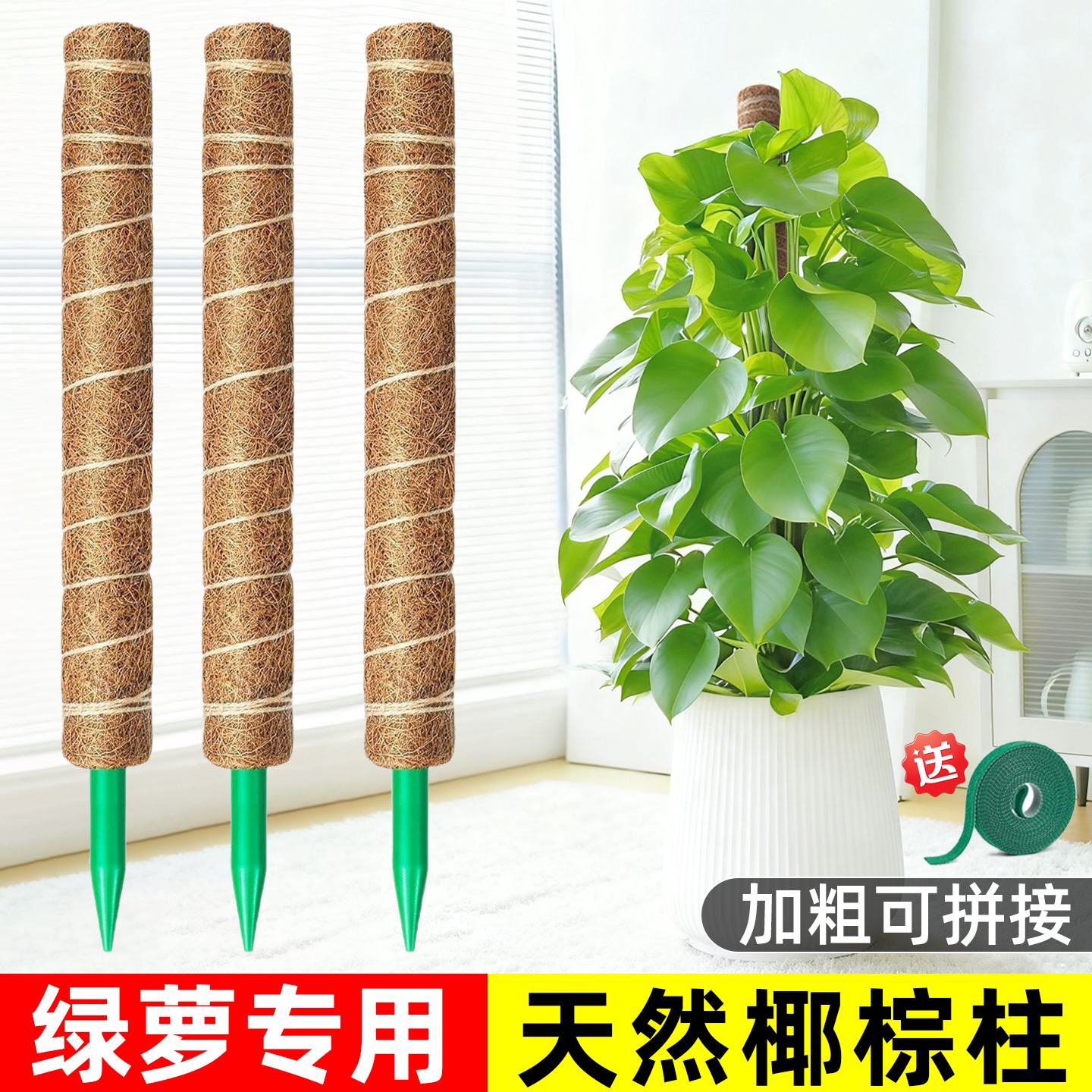 大叶绿萝爬藤架水苔柱植物攀爬固定神器棕榈柱椰棕棒龟背竹支撑杆