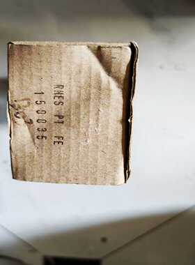 ProMinent普罗名特RHES PT FE电极实物