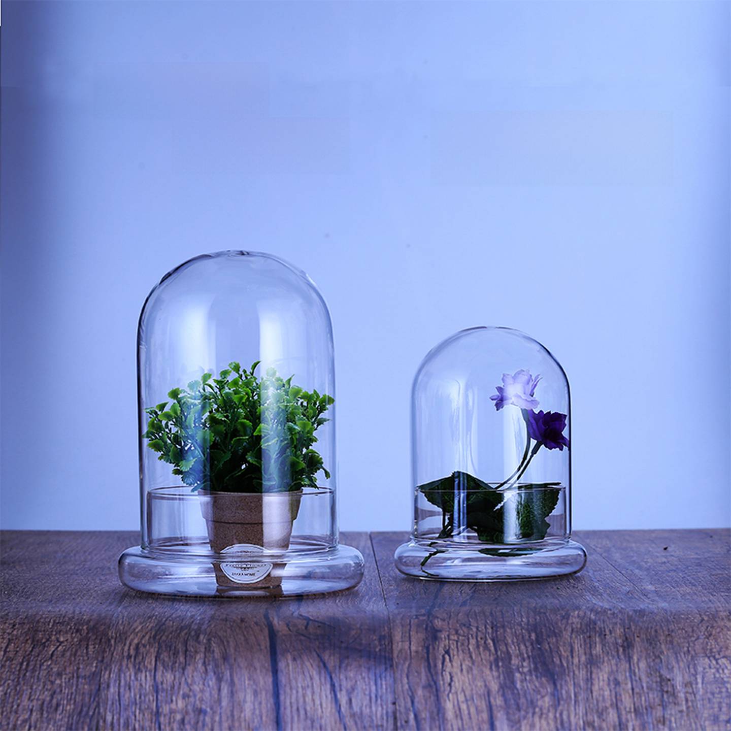 透明玻璃罩子微景观苔藓植物花瓶永生花玻璃罩多肉闷养神器保鲜罩