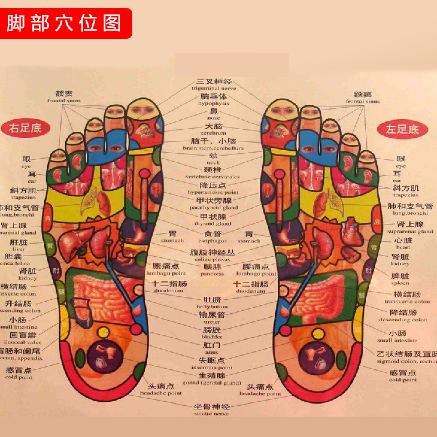 足底按摩棒点穴棒木质经络疏通棒穴位点按棒按摩器木拨筋棒女面部,个人护理/保健/按摩器材,按摩穴位棒,淘宝优惠券,粉丝福利购,淘宝优惠卷