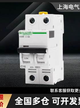 议价全新原装断路器ic65n空气开关1P20A家用2P空开63 EA9无漏电保