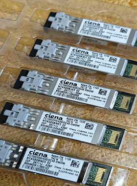 Ciena NTK586AJE5,