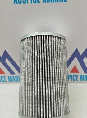 Lemasa 01.WP.45.10VG Filter Element