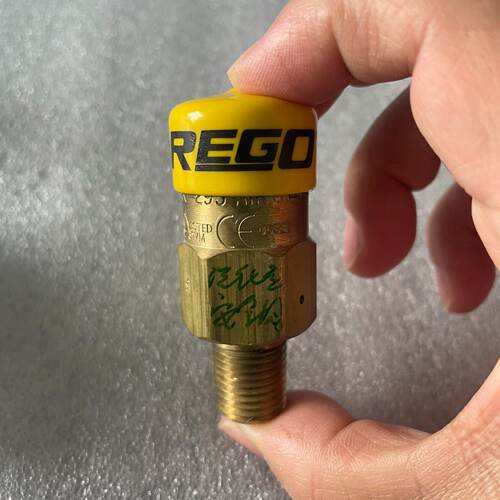REGO安全阀，型号NO.3127G，黄铜材质，NPT1议价