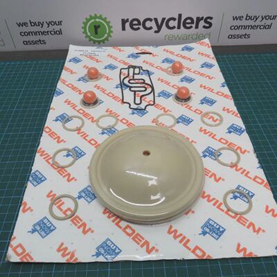 Wilden 01955258 Elastomer Kit P1 Plastic WilFlexFitted