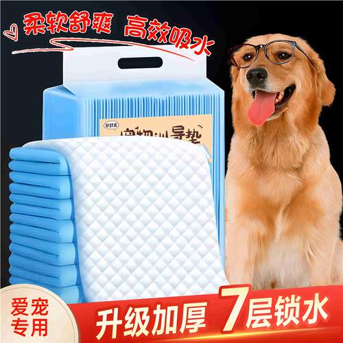 狗垫尿定点上厕所片泰迪小