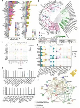 生信分析1-5分单细胞测序套餐TCGA/GEO数据库挖掘生信分析服务