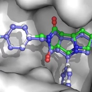 专业分子对接，蛋白蛋白对接，以及化合物设计思路指导