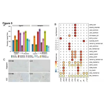meta分析做图 生态学 土壤 环境 农学 医学