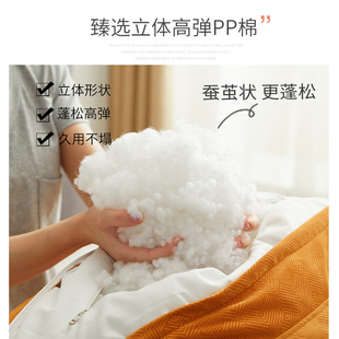 沙发立体靠背大靠垫客厅靠枕软包床上沙发后靠背垫大尺寸定制抱枕