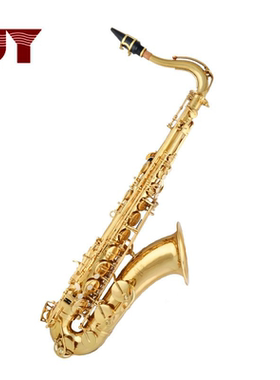 金音乐器 次中音萨克斯 降B调 JYTS-2000 电泳金次中音萨克斯初学