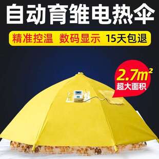 厂家小鸡脱温设备控温伞自动保温伞养鸡设备育雏伞育雏器保温箱