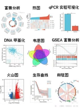 生信TCGA/GEO数据库挖掘差异基因分析rstudio热图火山图R语言代做
