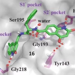 专业分子对接，蛋白蛋白对接，以及化合物设计思路指导,商务/设计服务,设计素材/源文件,淘宝优惠券,粉丝福利购,淘宝优惠卷
