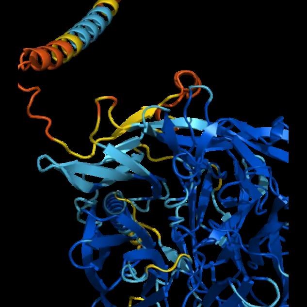 Alphafold2/3蛋白质3D结构预测-蛋白同源建模autodock分子对接