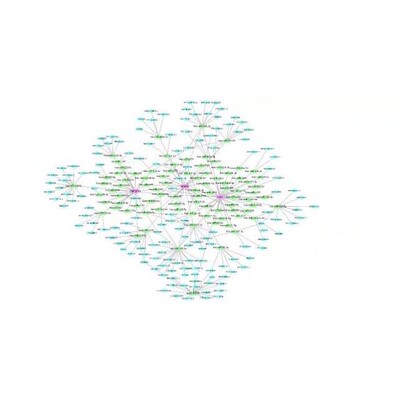 网络药理学GO/KEGG/PPI咨询Cytoscape绘图