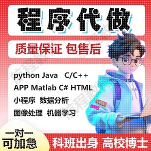 matlab程序代编代码帮做图像神经网络python代做深度学习算法仿真