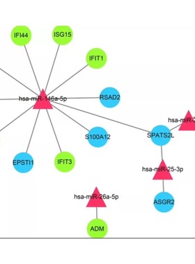 系统学单细胞测序/chipseq/RNAseq/Atacseq/R语言培训