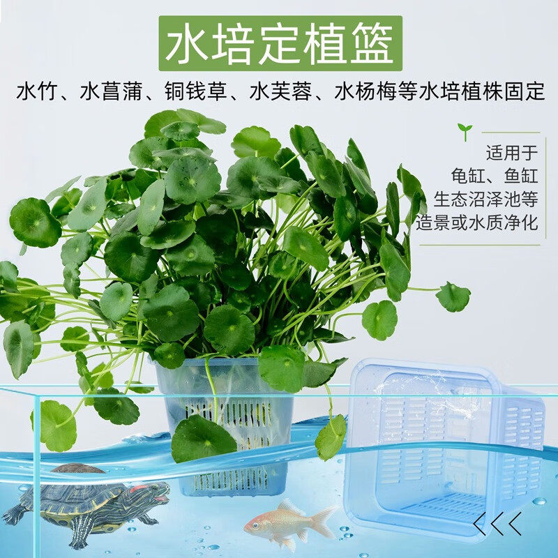 鱼缸水草种植杯透明控根盆植物固定篮龟缸造景装饰配件水培定植篮