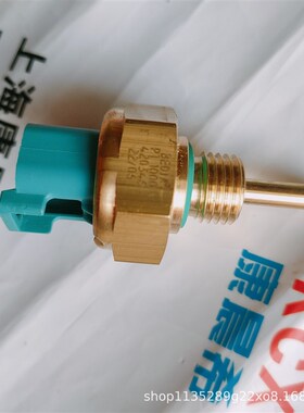 贝迪亚BEDIA 温度传感器 PT1000 ,420346