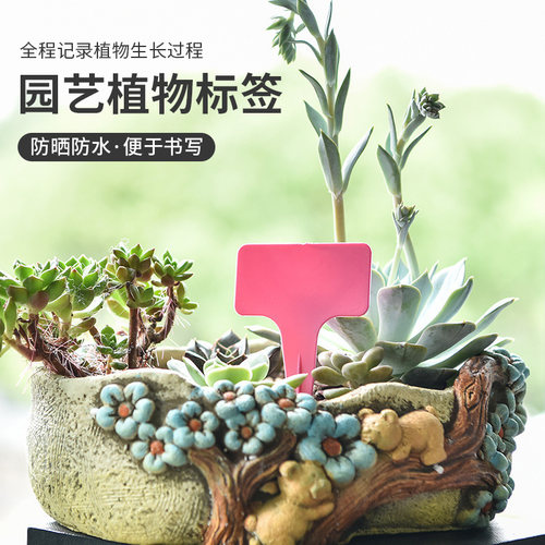 园艺标签T型多肉植物花卉地插牌塑料防水园艺苗木定制花盆标识牌
