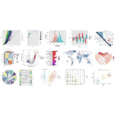 16S ITS宏基因组微生物多样性分析