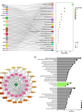 多组学联合网络理学数据分析挖掘代谢组学脂质组python表观基因