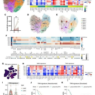 生信分析分子对接转录组网络药理学孟德尔随机化TCGA GEO数据库服