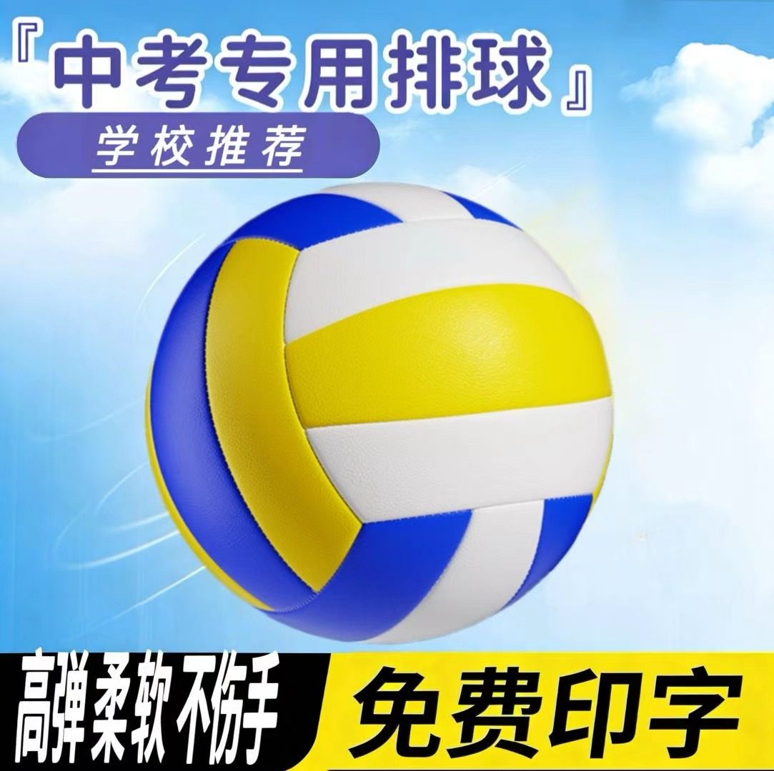 中考专用排球5号中学生五号标准款小学生训练比赛体考软式硬排