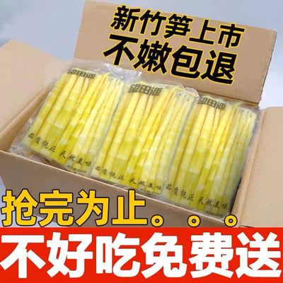 望田源竹笋尖精品，新鲜脆嫩爽口