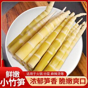 火锅嫩笋尖当季新鲜小竹笋手撕剥笋免切野山鲜嫩脆批发商用竹笋尖