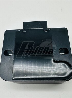 摩托车配件NB-X喜蕴喜悦塔帕WH100T-35 A6 6A稳压器硅整流充电器