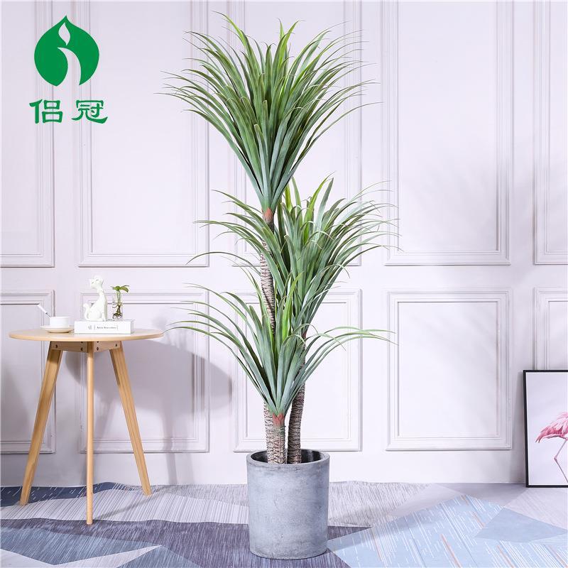 现代仿真龙血树剑兰室内大型绿植盆栽千年木假马尾铁橱窗装饰绿植