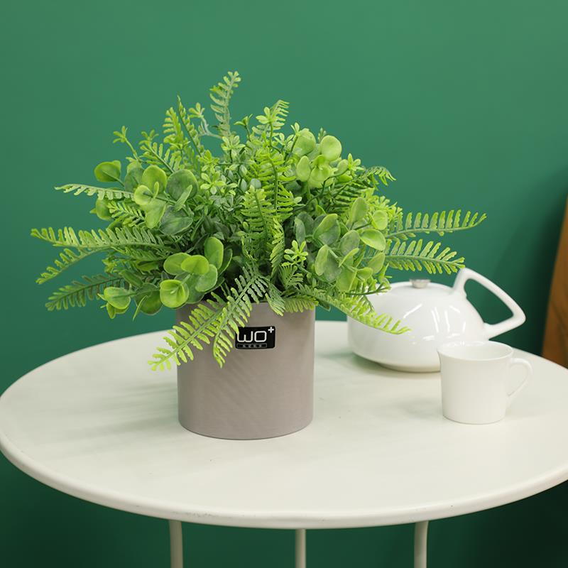 wo+仿真绿植室内桌面盆栽装饰阳台花架摆放尤加利蕨草假绿色植物