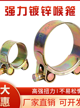 彩镀锌欧式强力喉箍加厚管箍重型管夹抱箍卡箍紧箍水管油管钢丝管